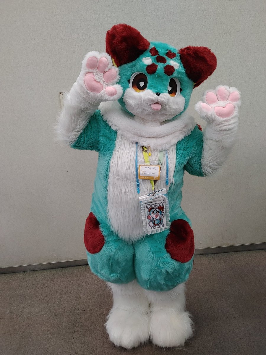 はつじゅー会でもお会いした、チョコイさん！お写真を撮らせていただきました！
ツーショットも撮っていただけて、とっても嬉しかったです！
#みけこん2025なつ