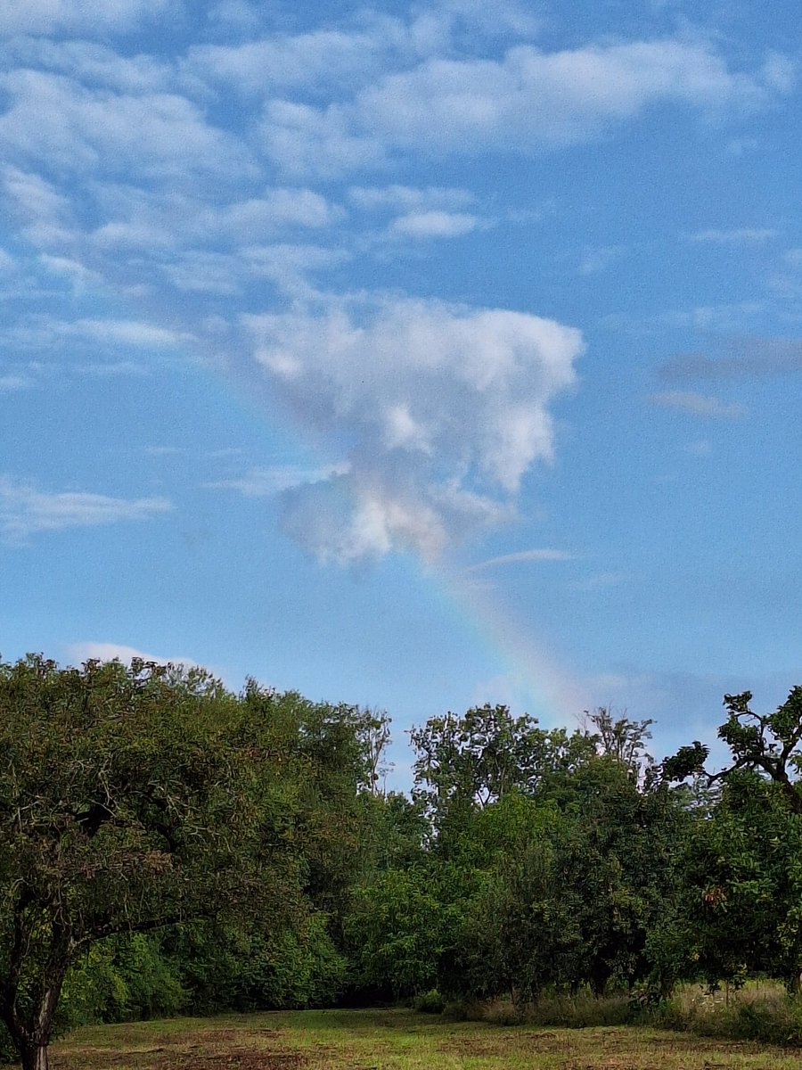 Bonjour le monde
Belle journée  bisous