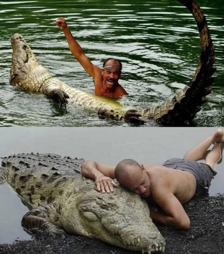 protbestfriend's tweet image. In 1989, Costa Rican fisherman Gilberto “Chito” Shedden discovered an injured crocodile on the banks of the Reventazón River. He named him Pocho and nursed him back to health with love and patience. But when Pocho recovered, something extraordinary happened—he didn’t return to…