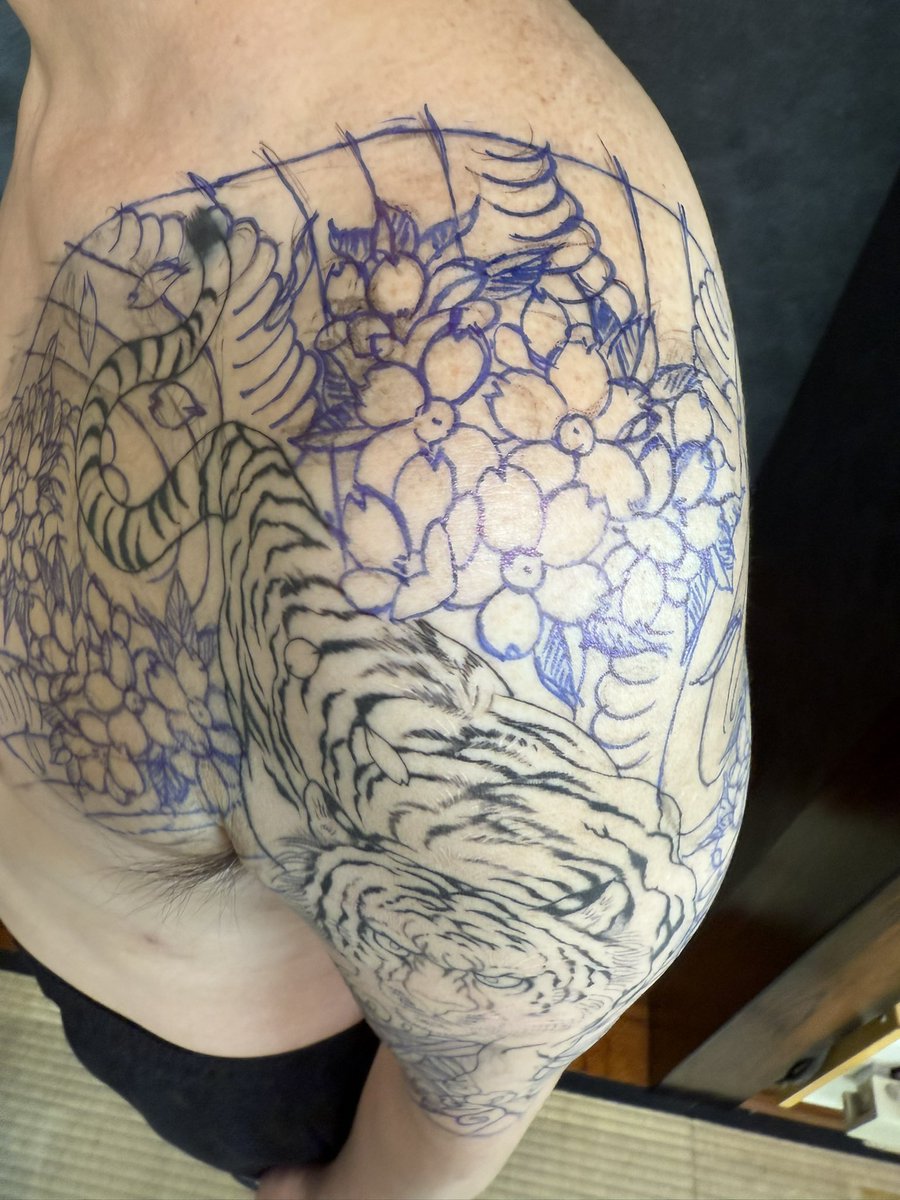 ⭐︎虎馬⭐︎ ZMax X-Spider A/S tyres - Reviews and prices | TyresAddict