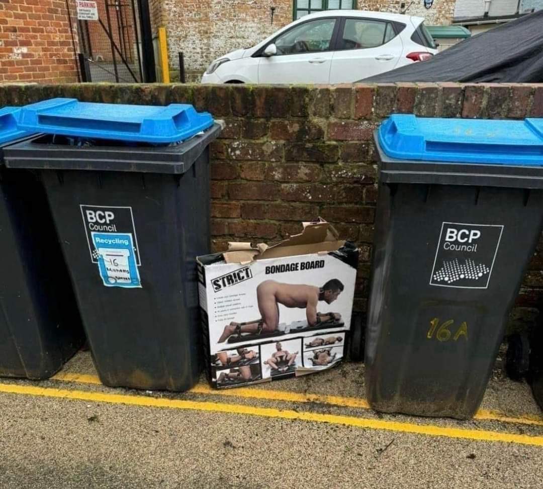 Up with the larks! A productive morning thus far. Even had time to put the rubbish out. 🤨🤣😂🤣 Morning scamps 🫡🫠