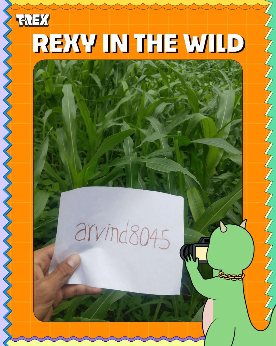 Arvind_7x's tweet photo. Rexy in the wild π¦
Rexy found herself deep in the wild β right in the heart of a lush maize field. Captured #RexyInTheWild moment.
just nature and vibes from my village. π¦π¦
@TREX_chain #RexyInTheWild https://t.co/BbY1mcVVNu