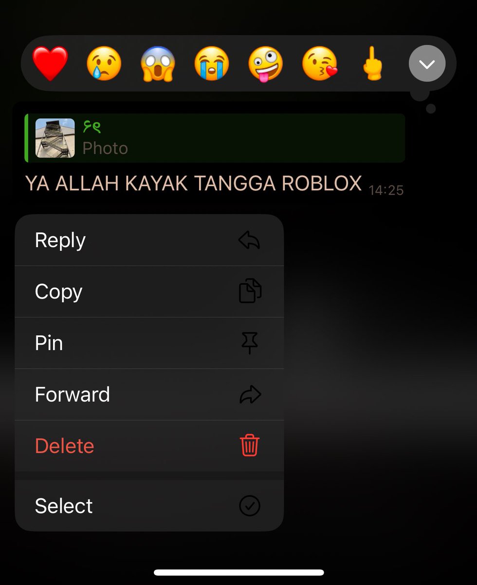 bangsat dibilang tangga roblox sama noah anjinggggggg tempat gua ngawas