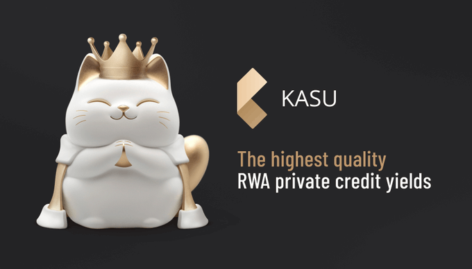 Kasu tweet media