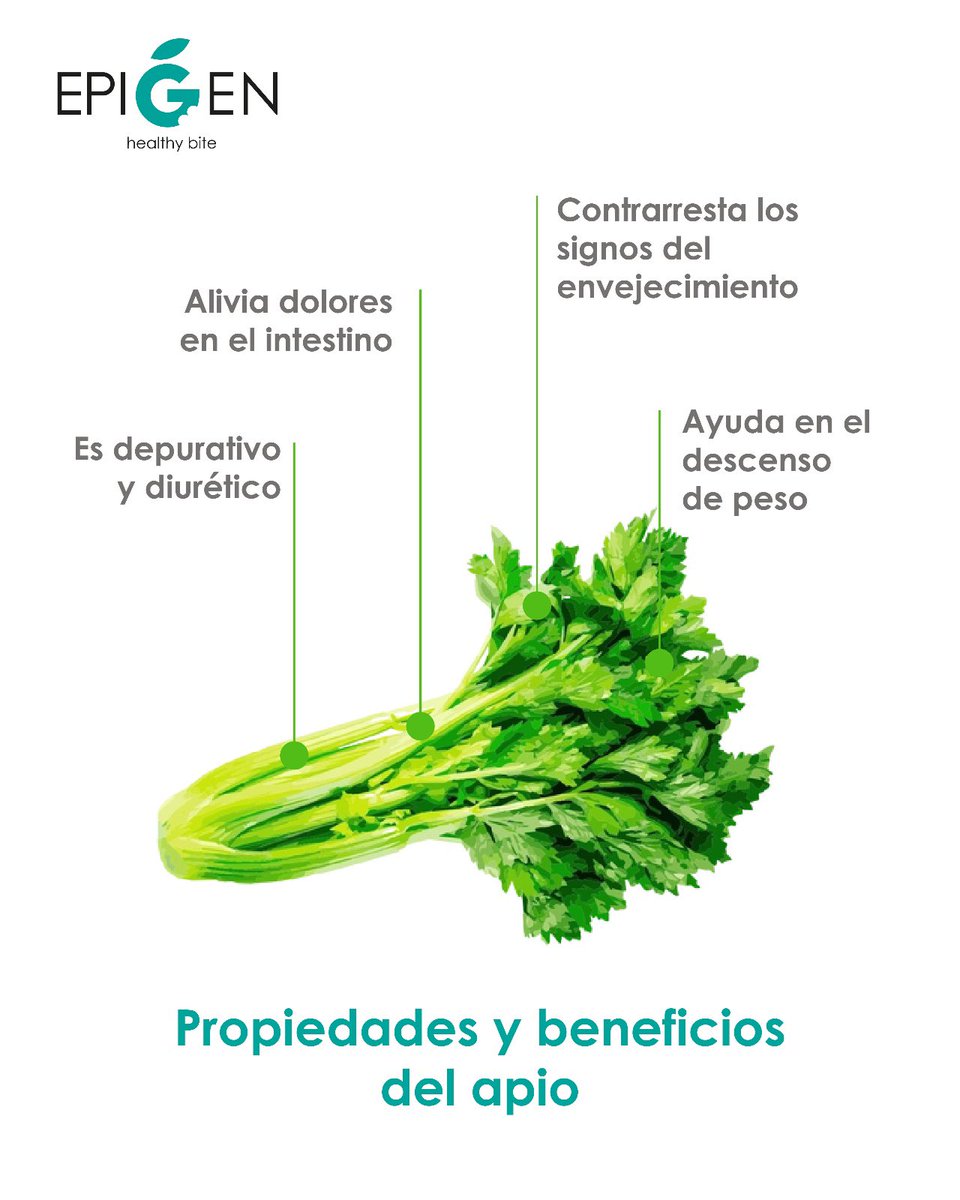 ✅ Hoy venimos con propiedades y beneficios de esta verdura tan sana y refrescante en estos días de verano: el #apio 

Además, si procede de #agriculturaregenerativa su cualidades estarán en su máximo potencial.

📝 ¡Toma nota!

#Salud en cada bocado con #epigenhealthybite