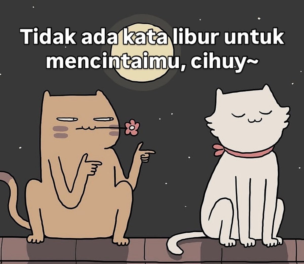 Send this to your crush ...