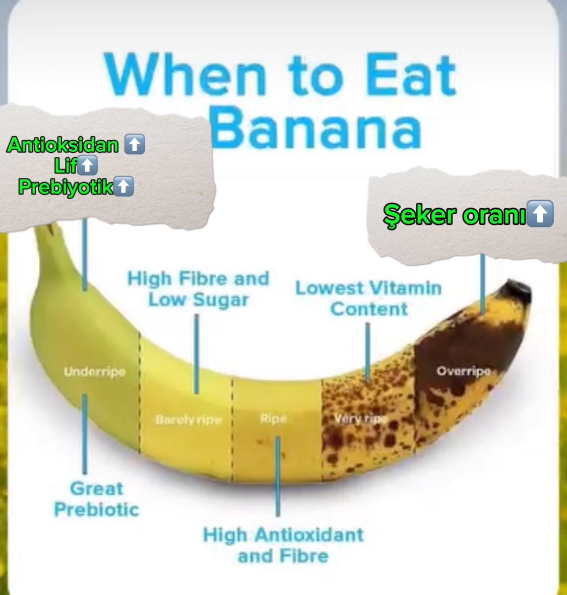 Muz; vücuttaki fazla Sodyumu ve bu sayede  tansiyonu dengelemek için iyi bir Potasyum kaynağı

Ancak ne kadar sararmış,pişmiş tüketirseniz şeker oranı o kadar yükseliyor ve kan şekerini zıplatıyor 

📌Benekler oluşmaya başlamamış halleri, en ideali; bu şekilde