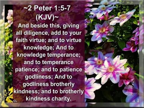 KJV ✝️🇬🇧 (@kjvbaptist193) on Twitter photo 
