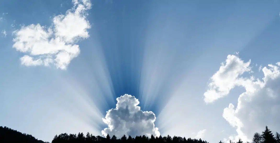 Revista_VN's tweet image. ➡️ BLOG: Cultivando cielo aquí y para la eternidad
✍️ Por Trini Ried
vidanuevadigital.com/blog/cultivand…