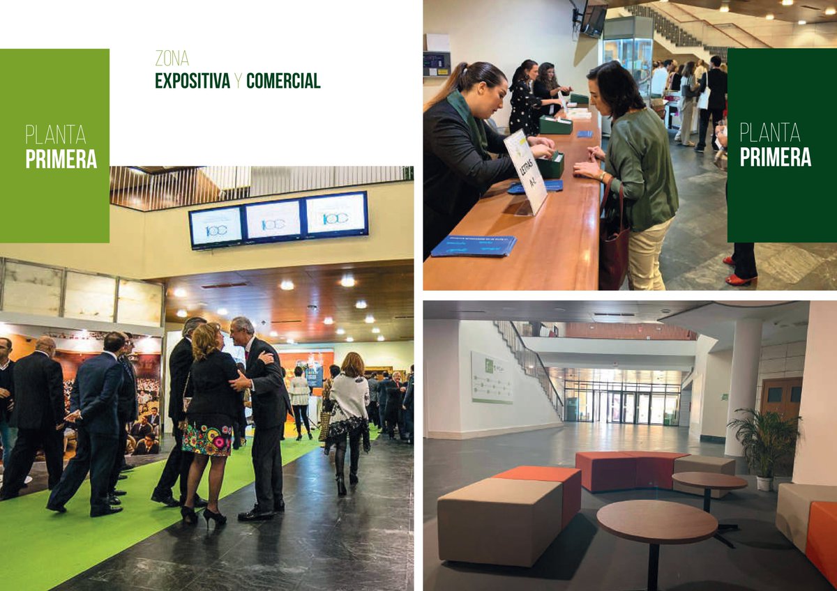 ✨ Redescubre el Palacio de Congresos de Jaén.
Espacios renovados, tecnología, confort y versatilidad para que tu evento destaque.
📍 Jaén, referencia en eventos.
🔗 palaciocongresosjaen.org

#EventosJaen #PalacioDeCongresosJaen #Networking #Ifeja