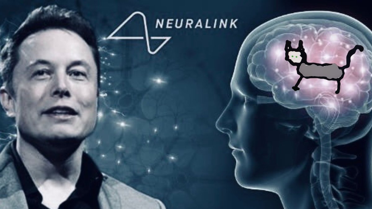 moneyzzzzzs's tweet image. $ELLIE TAKEOVER