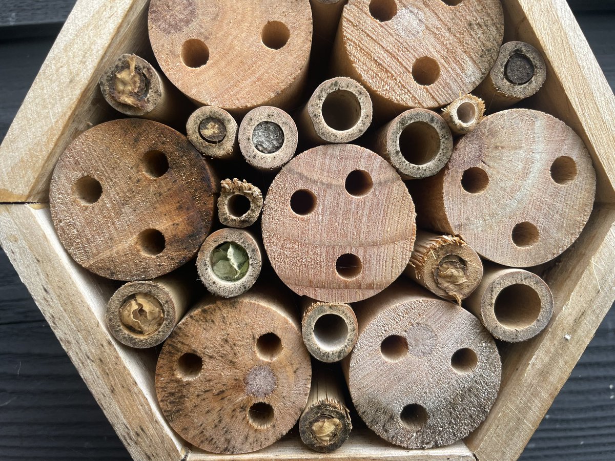 Gr🍀eneh💚rtstocht🥾🌼🌹 tweet media