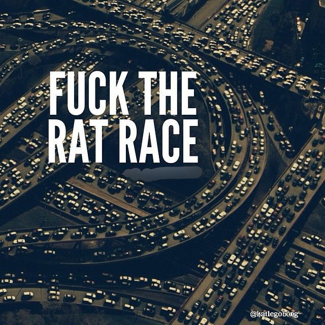 Katmoonfeedape's tweet image. 