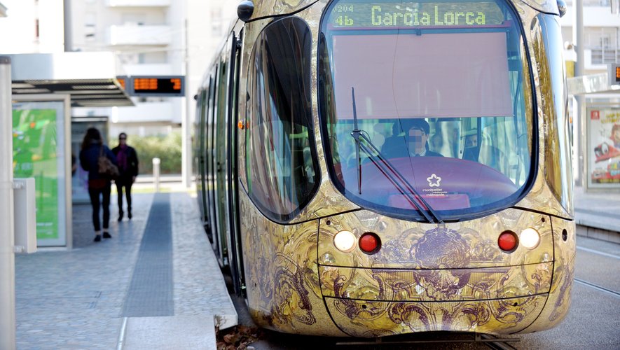 Insultes sexistes en arabe et gifle dans le tramway de Montpellier (34) : les victimes donnent l’alerte, un Marocain interpellé
 fdesouche.com/2025/07/29/ins…