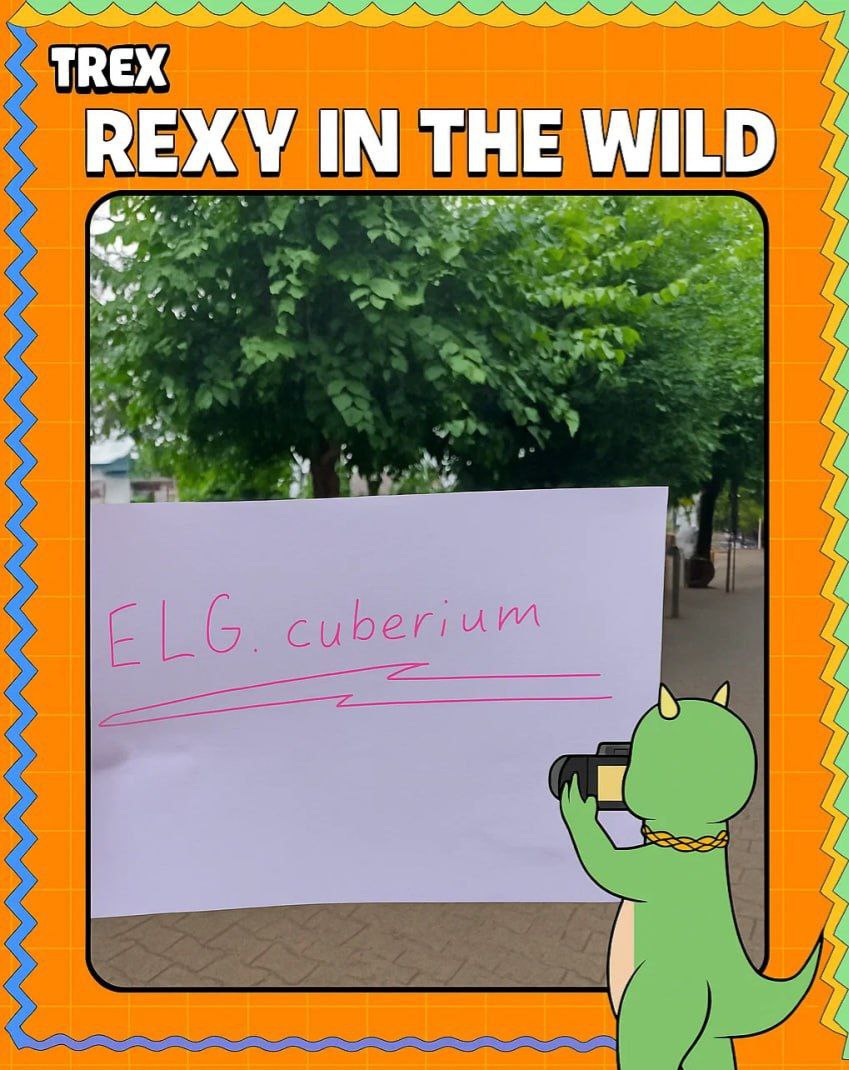 elg_oleksandr's tweet photo. Good morning everyone))
@TREX_chain
#RexyInTheWild https://t.co/qnZL6PDhAL