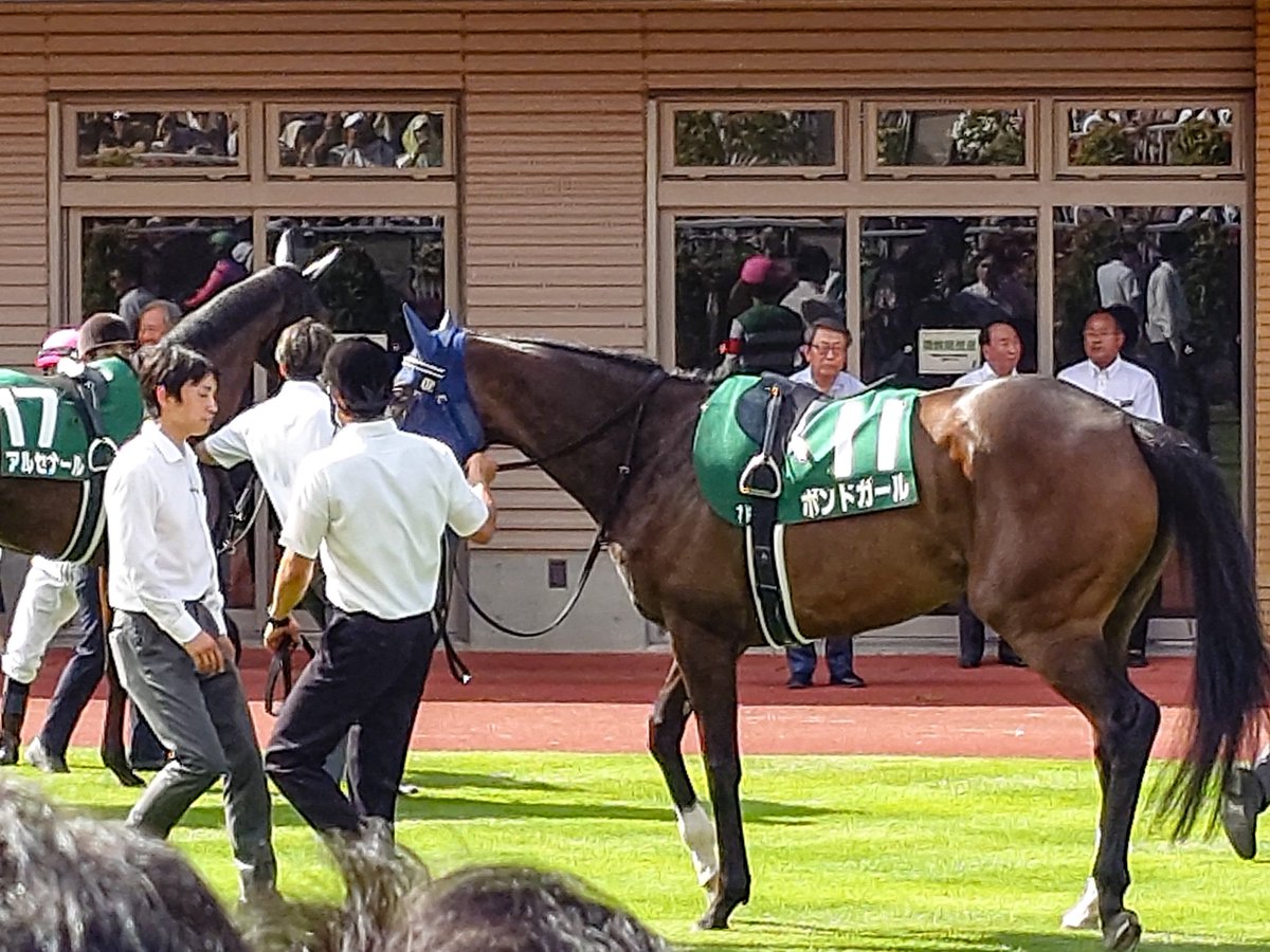 新潟競馬場 - Search / X