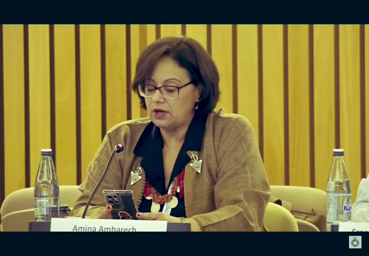 “The future of food is not to be invented—but remembered, protected &amp; shared, working along us, #IndigenousPeoples.” Said Amina Amharech from during the #IndigenousPeoples led session at the #UNFSS+4 #IndigenousFoodSystemsCoalition
#IndigenousScience
#FoodSovereignty