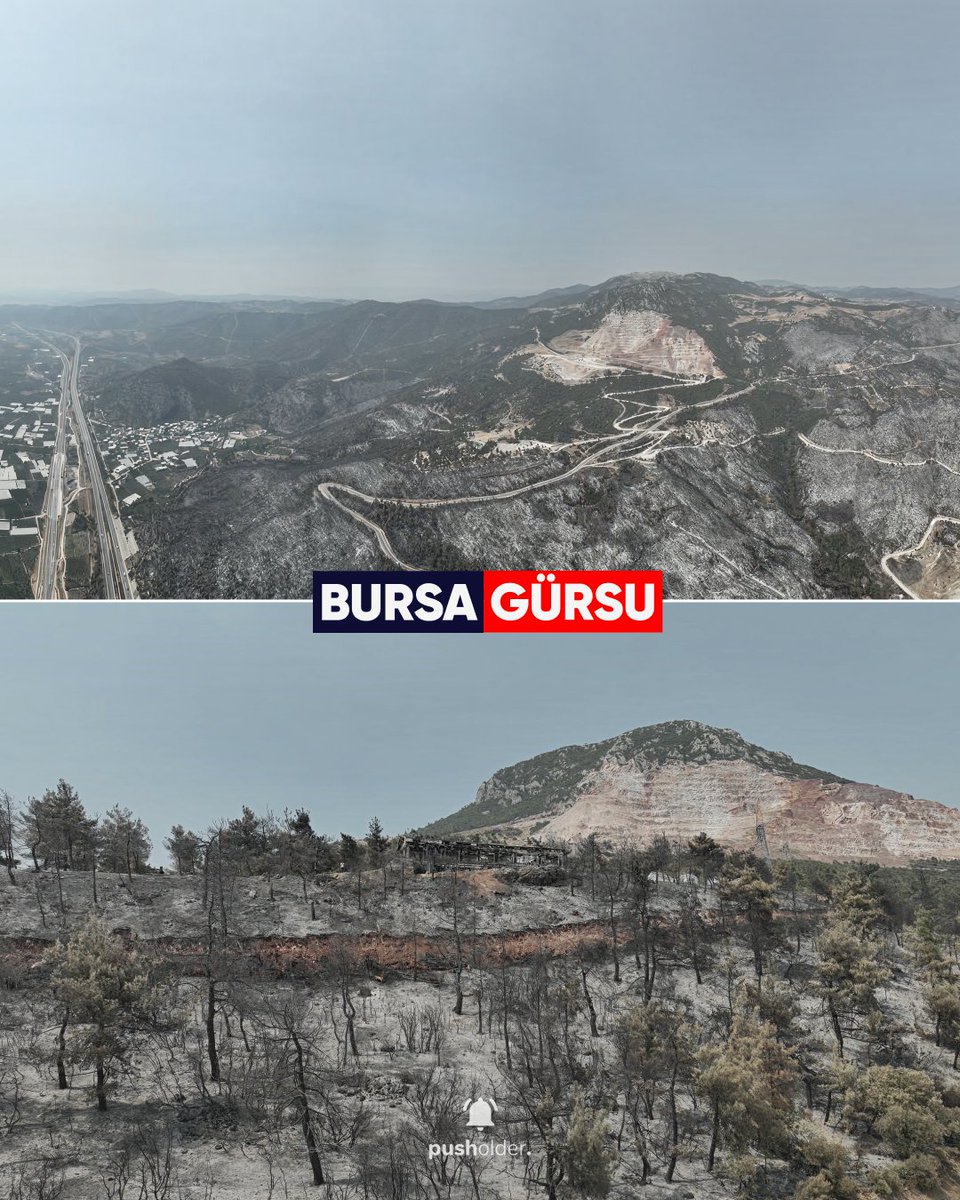Yangının ardından Bursa Gürsu'da son durum.
