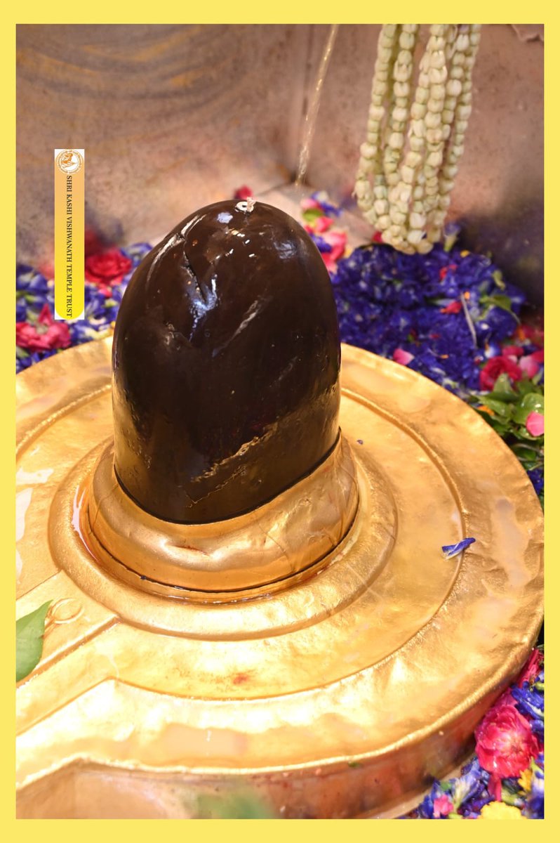 श्री काशी विश्वनाथ जी की मध्यान्ह-भोग आरती🙏