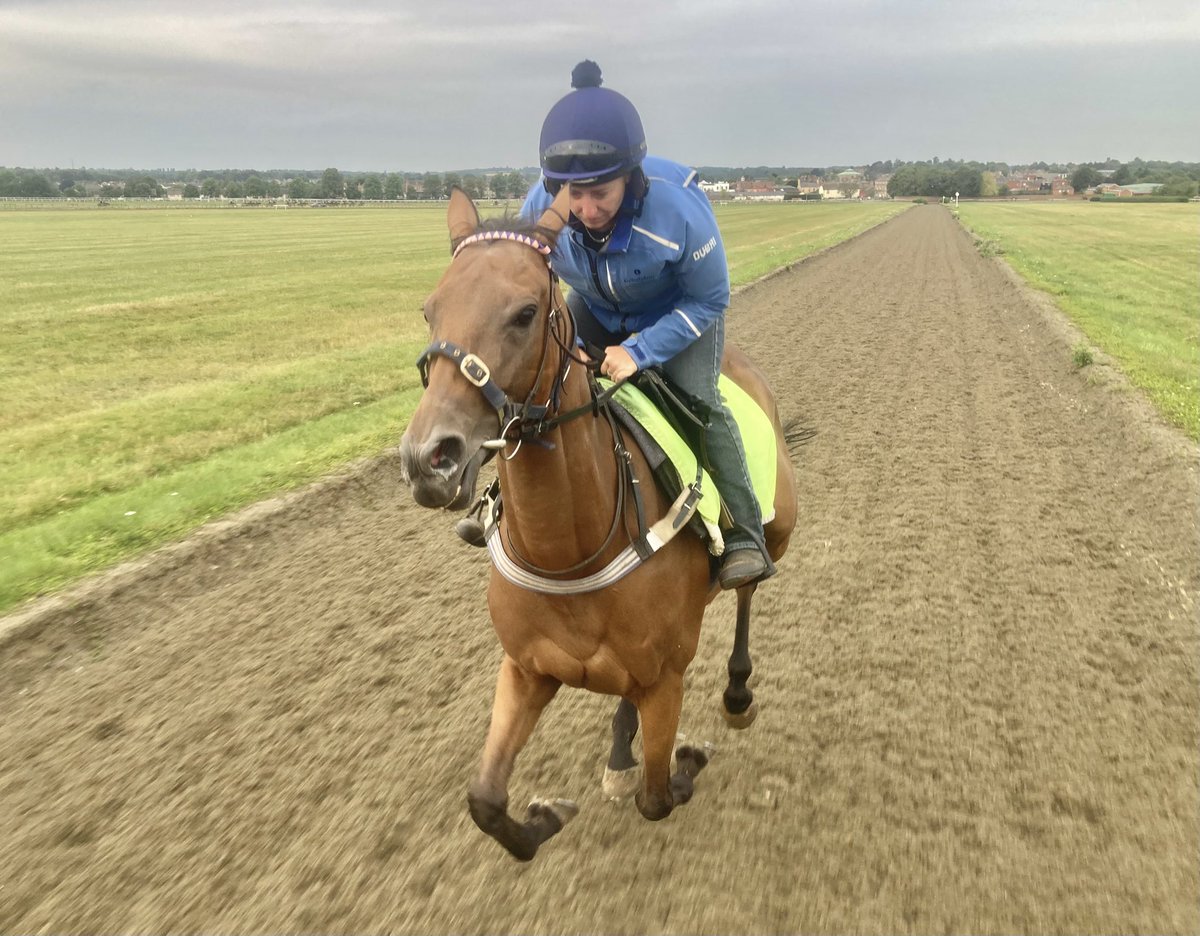 JohnWathenBerry's tweet image. A grey start to the day in Newmarket. The odd drop of rain. A very comfortable temperature, neither cold nor hot. 12 degrees early on, currently 16, forecast high 21.