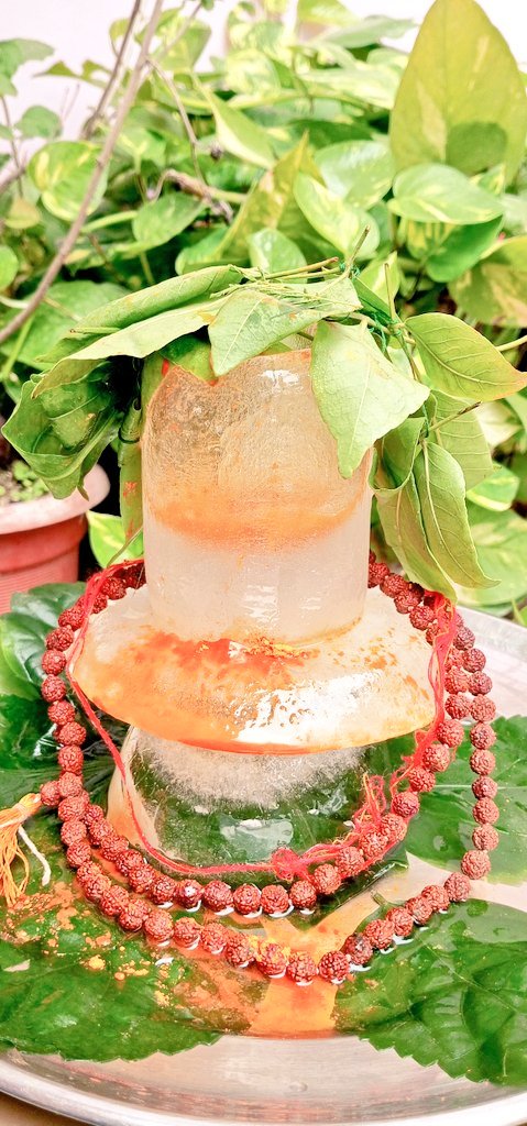 __S_h_r_e_e__'s tweet image. जय बाबा बर्फानी 🙌❤🔱