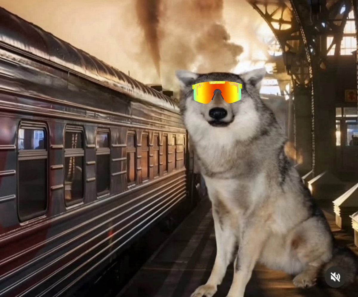 serezhaxbt's tweet image. the train called &quot;alt szn&quot; is about to depart

mog coin