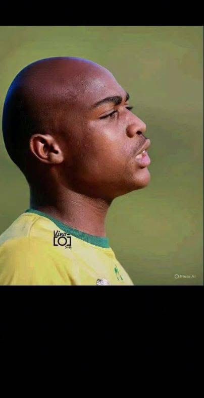 MT_Ntsonda's tweet image. PSL players if they were bald 🤭🙌🔥