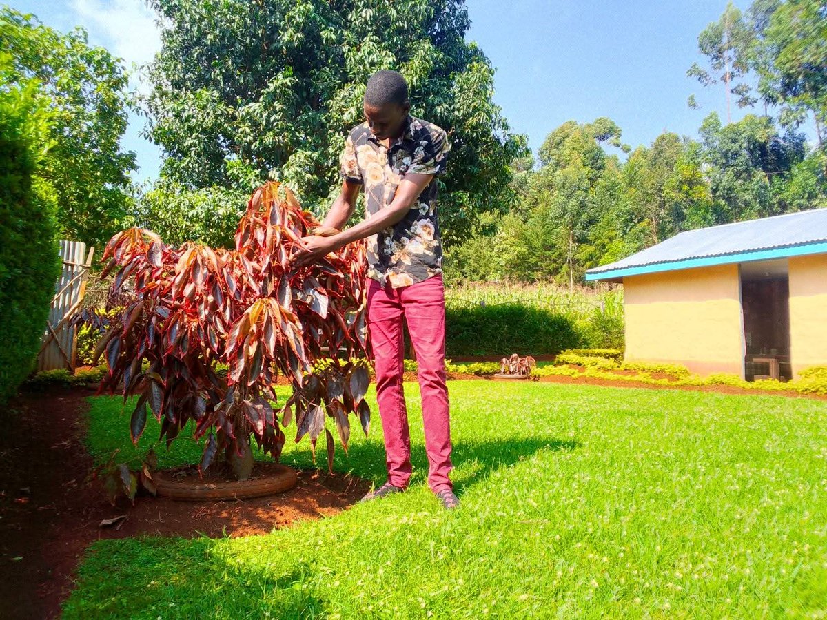 Man owns a simple mud house but look at his compound setting, it is therapeutic. Sometimes less is more for sure!!