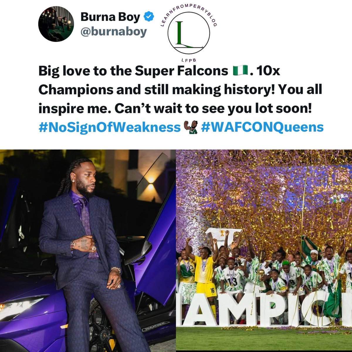 Learnfromperryb's tweet image. “Superfalcons  you inspire me. Can’t wait  to see you lot  soon” - Burnaboy says 🦍

#burnaboy #superfalcons #learnfromperryblog