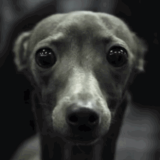 Media with Gimmiko Music (@mediagimmiko) on Twitter photo 