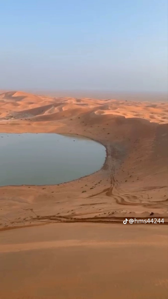 الحر لاشاف الزله سترها 
والردي يحسبها غنيمه