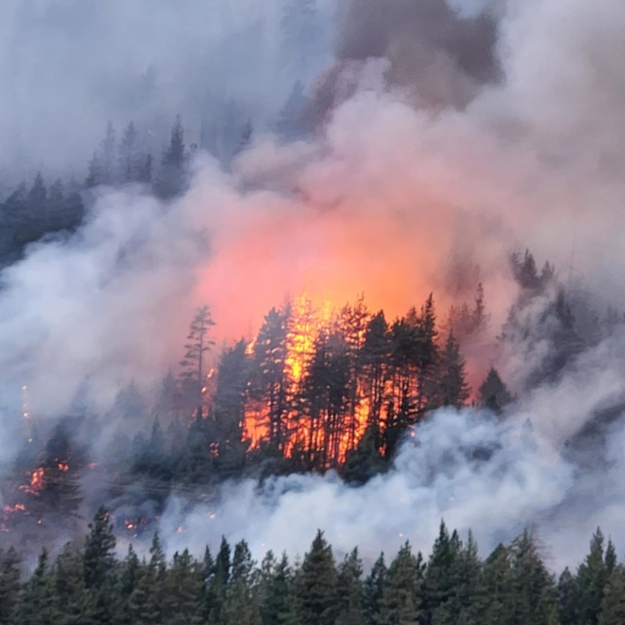 RadioNLNews tweet media