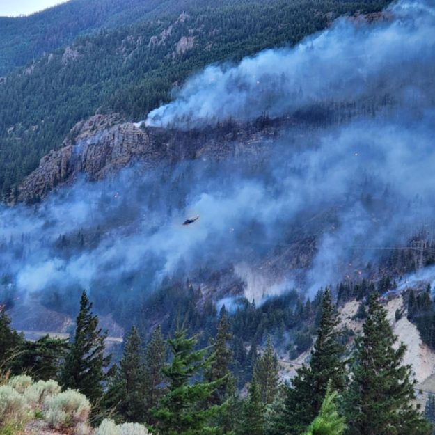 RadioNLNews tweet media