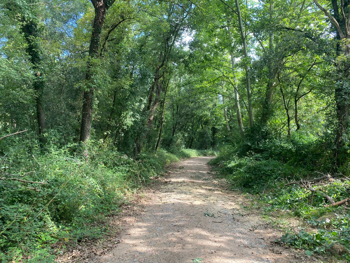 xarxadeparcs's tweet image. ✅Saps què fa la colla de manteniment? Treballa per garantir l'accessibilitat i el bon estat de l'entorn
🌳La seva tasca és indispensable per resoldre incidències, com la retirada d'arbres caiguts. També instal·len senyalització, mantenen equipaments, controlen vegetació...