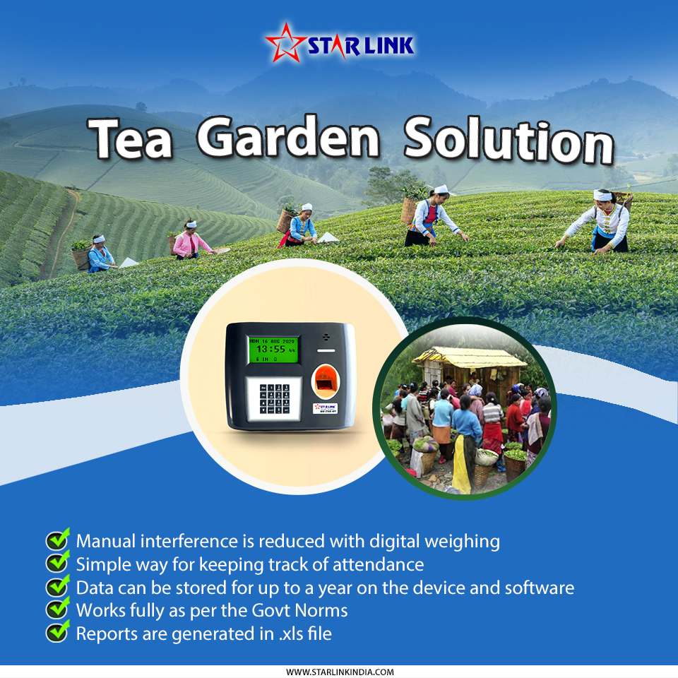 starlinkindia's tweet image. Star Link’s Tea Garden Solution simplifies workforce management with biometric attendance, digital weighing, and .xls reporting.

Track productivity, ensure compliance, and reduce manual interference.

Learn more: starlinkindia.com
 #TeaGardenSolution #WorkforceManagement