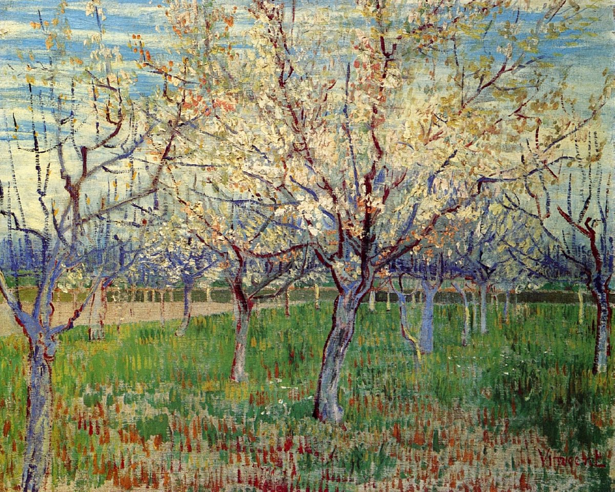 vangoghartist's tweet photo. Orchard with Blossoming Apricot Trees - 1888 #artbots #vangogh https://t.co/10BtFu5vEt
