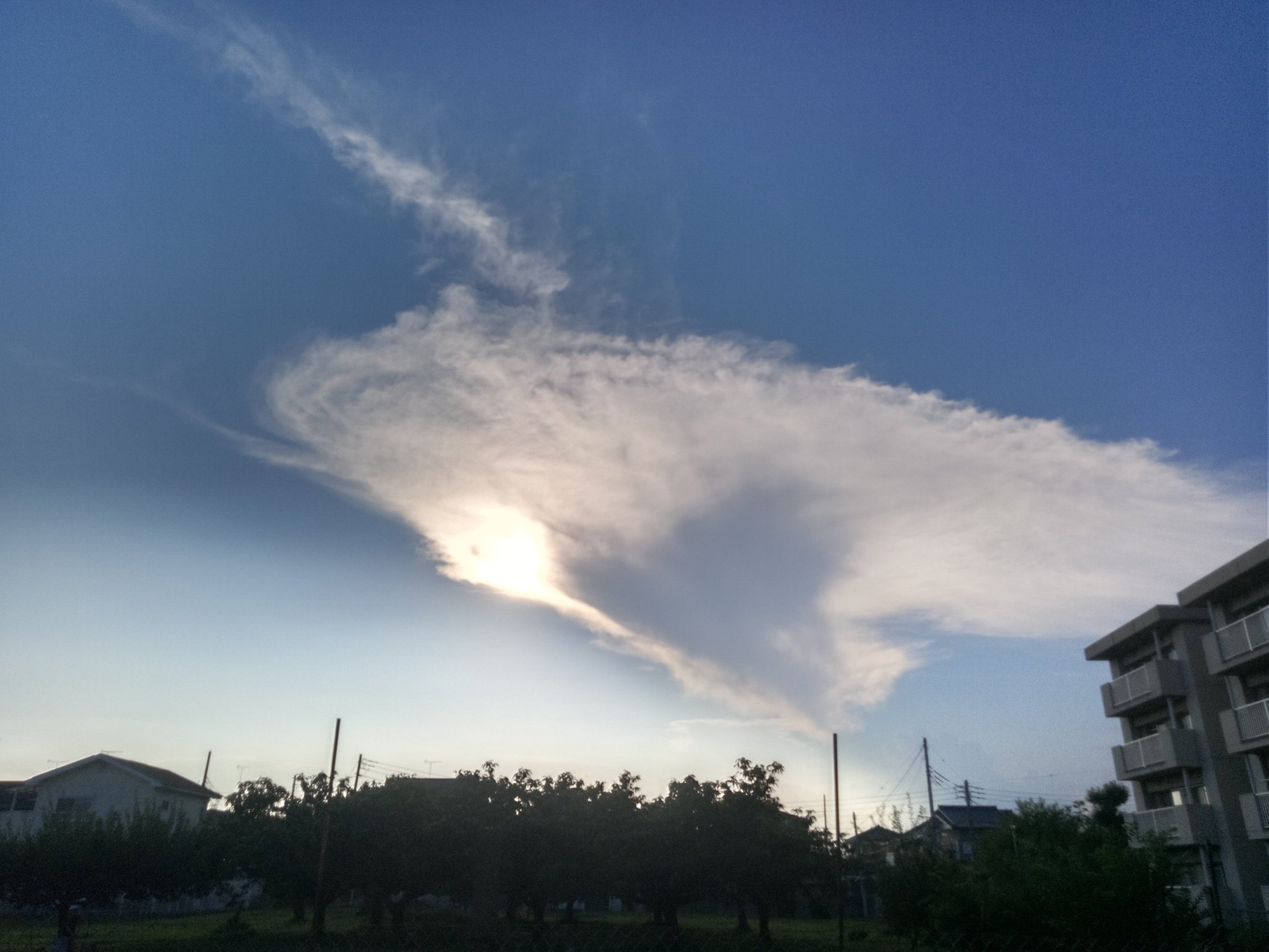 太陽と雲 86538368-blue-sky-with-clouds-