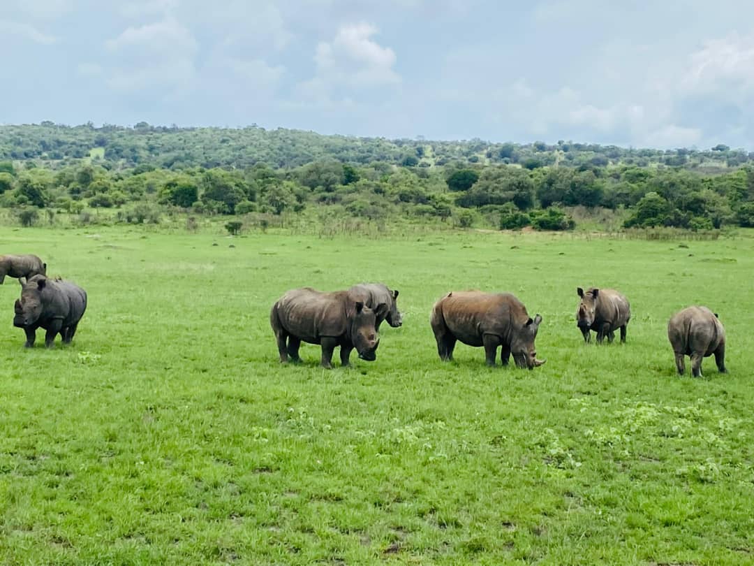 @Jarusinga (@mapekmapek) on Twitter photo Knowledge doesn't generate action,but action generates knowledge. Life is a total responsibility we hold,we must stop procrastination to action.lets stop saying we will grow trees in future , start it immediately .
#Catchment2tap <a href="/AbiluTangwa/">Tangwa Abilu.πΏππΎππ.SDG's.</a>
<a href="/Greenisamissio1/">Green is a mission</a> <a href="/BrianMisiati/">The Climate Ambassador</a> Knowledge doesn't generate action,but action generates knowledge. Life is a total responsibility we hold,we must stop procrastination to action.lets stop saying we will grow trees in future , start it immediately .
#Catchment2tap <a href="/AbiluTangwa/">Tangwa Abilu.πΏππΎππ.SDG's.</a>
<a href="/Greenisamissio1/">Green is a mission</a> <a href="/BrianMisiati/">The Climate Ambassador</a>