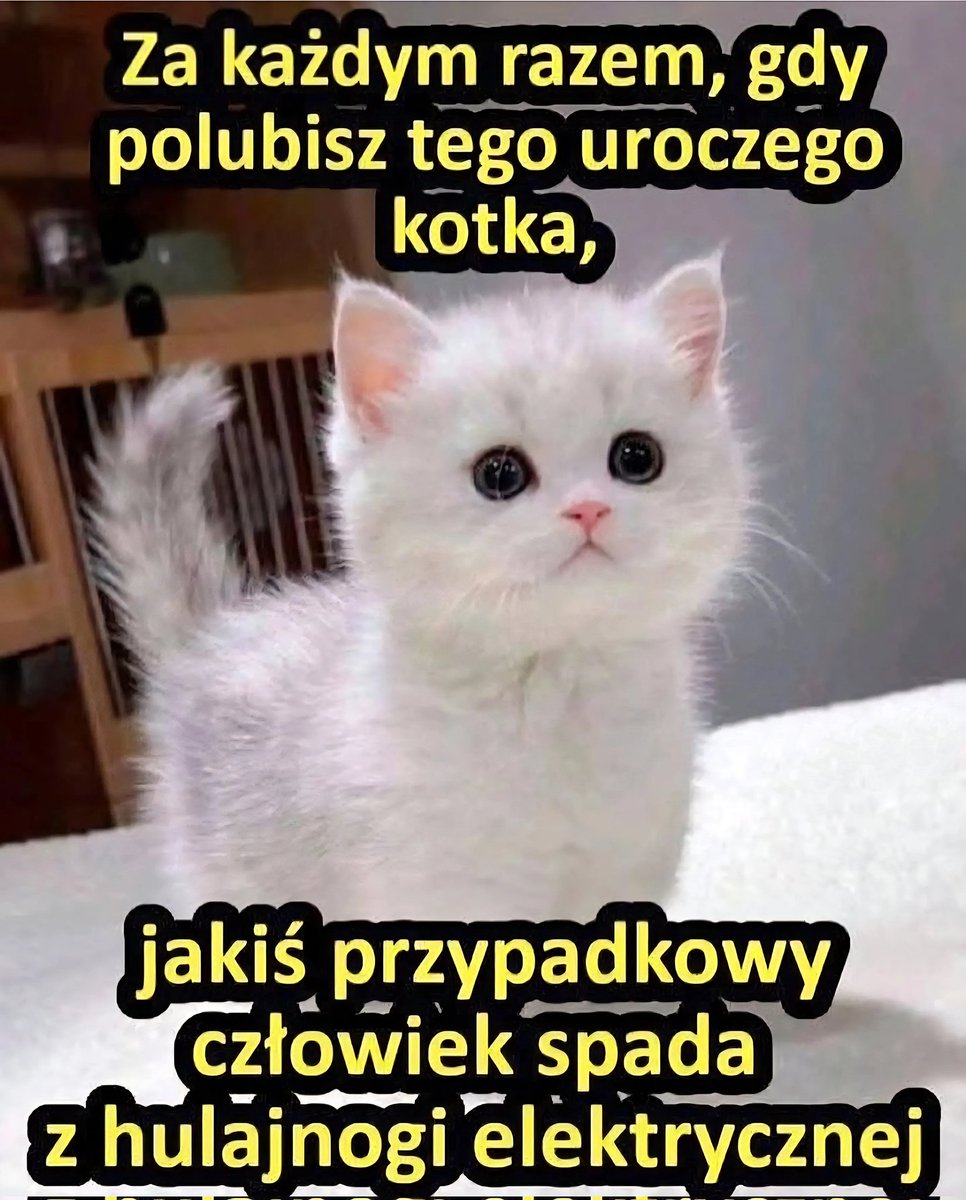 Państwo na Trytytki (@panstwotrytytki) on Twitter photo 