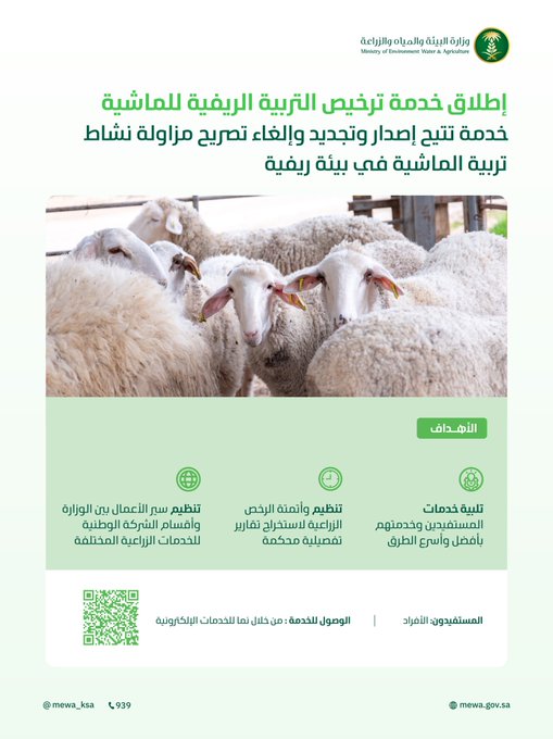 الصورة