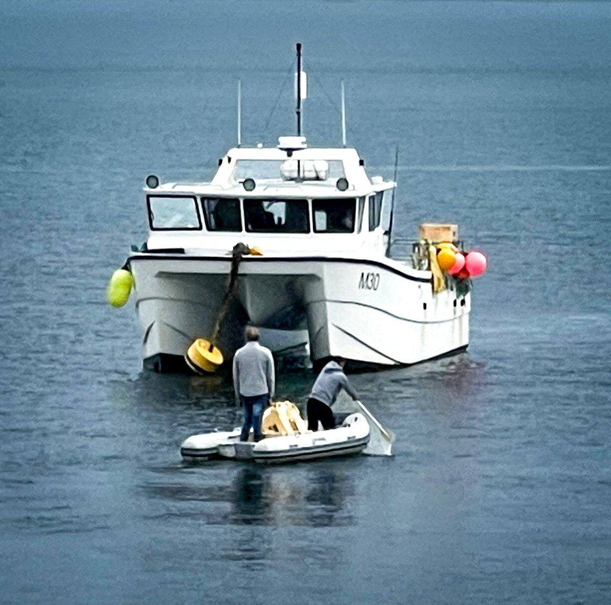 Castell Howell Foods tweet media