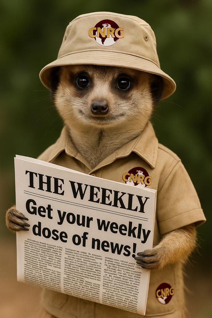CNRG_ZIM's tweet photo. In Case You Missed It 
📢 Weekly 22nd Edition! 📰
Your go-to source for bold and sharp reporting on extractives, climate, and justice in Zimbabwe and beyond...

🔍 FEATURED STORIES:
⚒️ Mining Reform or Mirage?
We unpack Zimbabwe’s new Mines and Minerals Bill 2025—touted as a game-changer for ESG compliance. Will it transform mining governance, or is it just polished rhetoric?

🧠 Power to the Youth!
CNRG launches a School of Natural Resource Governance — empowering youth from Hwange, Marange, Mutare & Bikita to speak truth to power and demand climate & extractive justice. #PeopleOverProfit

🌍 BRICS & Africa Unite for Climate Action
What does the BRICS Rio Declaration mean for Africa’s development goals? We break down its potential to rewrite the rules of global climate finance and energy transitions.

🔥 Voices from Hwange
Ezra Munsaka shares a powerful youth perspective on reclaiming Zimbabwe’s extractive future: “If our lands are so rich, why are our people so poor?”

📬 Grab your copy. Read. Share. Act.
🔗https://t.co/H2244mhSdN
🧭 Where policy meets people. Where youth lead the change.
🎯 #Weekly22 #ZimbabweMining #ESGReform #ClimateJustice #YouthVoices #ExtractiveJustice #BRICS2025