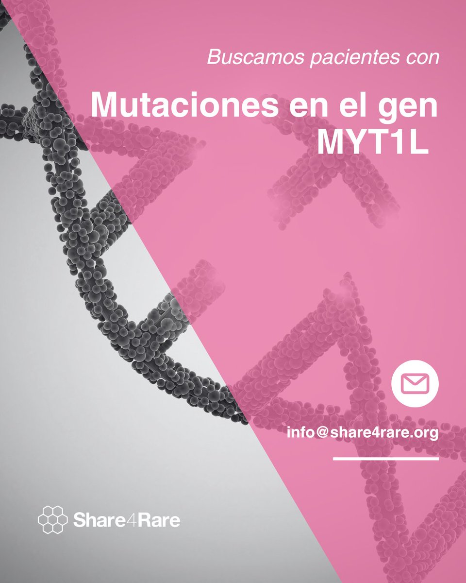 Share4Rare_es's tweet image. 🌐 Necesitamos encontrar a familias con mutaciones en el gen MYT1L 🧬, que afecta al neurodesarrollo 🧠, para conectarlas con una madre que busca tejer una red de apoyo.
Escríbenos a 📩 info@share4rare.org y comparte esta publicación para que podamos llegar a más gente 🚀