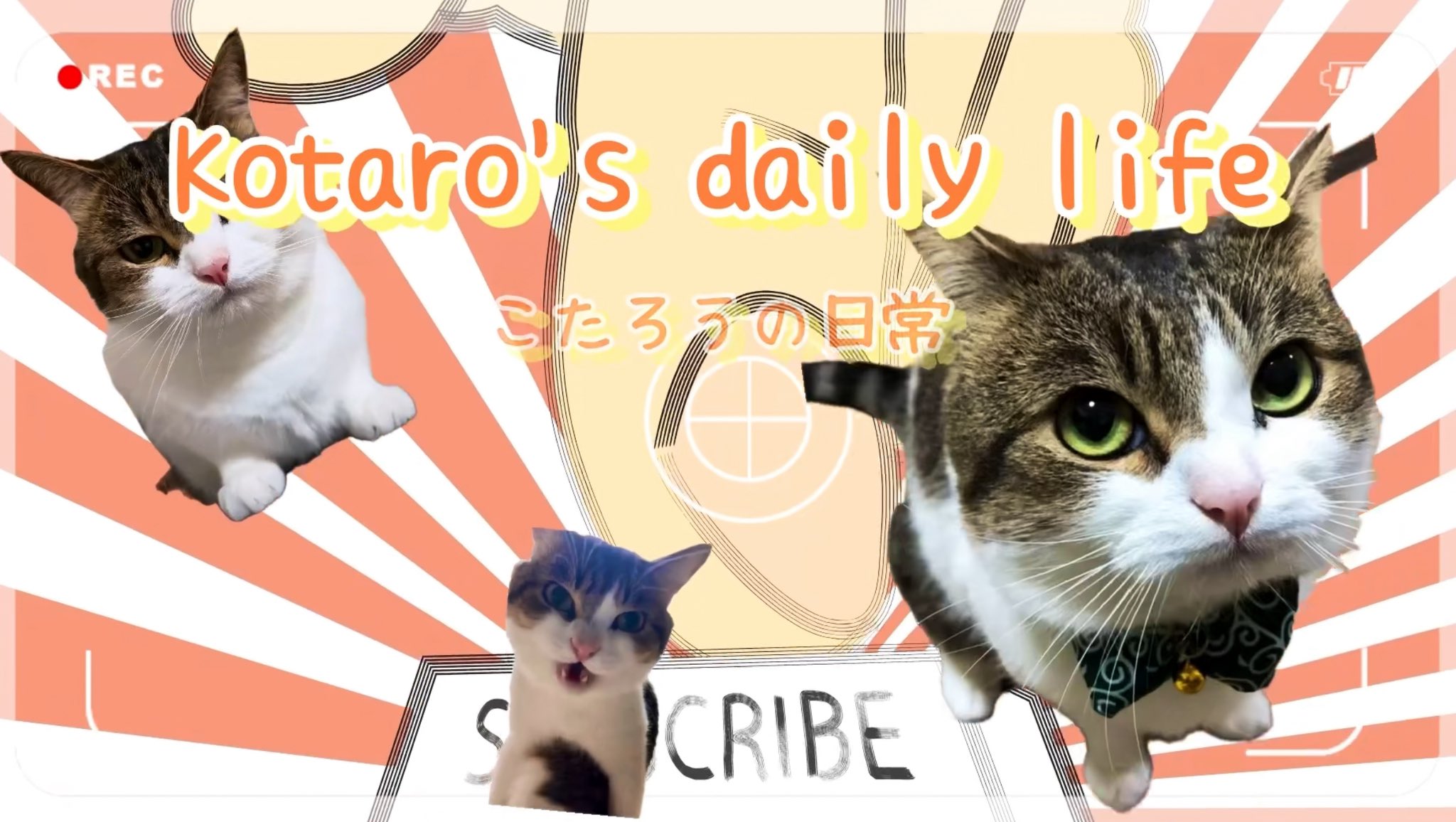 ニコちゃんとこたろう先生とトロとわさび姐さん on X: 