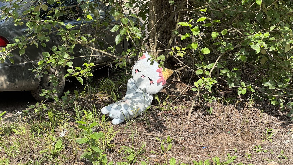 Котик на расслабоне😌