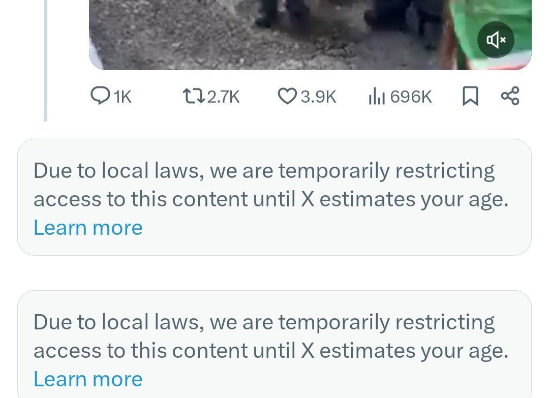 All the evidence I've seen on my timeline suggests that the Online Safety Act has nothing to do with porn and everything to do with restricting information on Palestine.