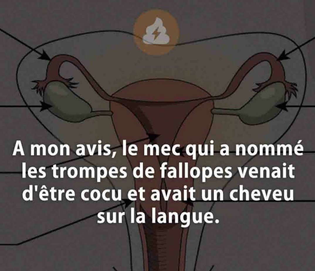 pasinfluencable's tweet image. 😂😂😂qu il est bon de rire..