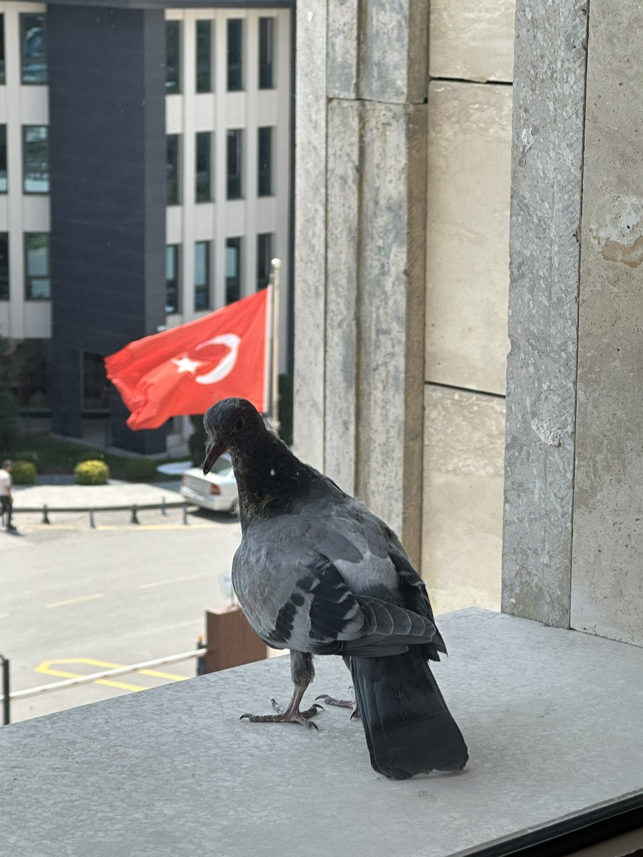 Bugün Güzel bir misafirim vardı..