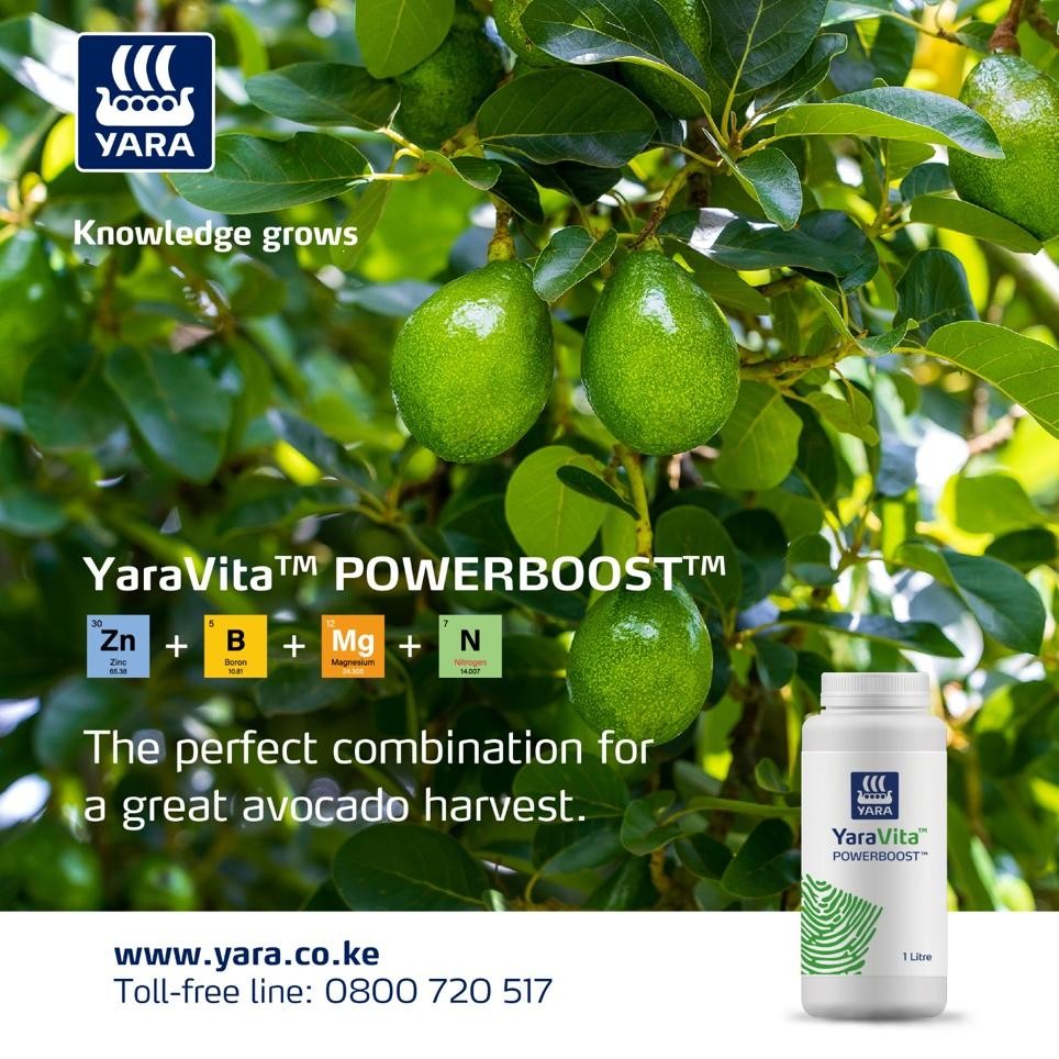 Micronutrients like zinc and boron play a crucial role in flowering, fruit set, fruit development and overall tree health in avocado crops.

Foliar application during the fruit development stage improves fruit set and the final quality of the harvested fruits.

That’s why using