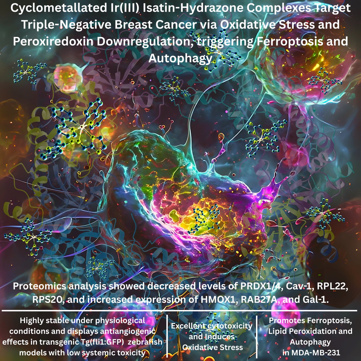 shilpendu_1's tweet photo. Excited to share our work in JMedChem!
Ir(III)-isatin complexes trigger ferroptosis &amp; autophagy in TNBC via peroxiredoxin downregulation—ROS-driven strategy against apoptosis-resistant cancer. @MukherjeeSujato @dcsiiserkol @Arindam_IISERK @SouryaRoy_D 
https://t.co/ewrb2B15Ls https://t.co/gJy97MiWh8